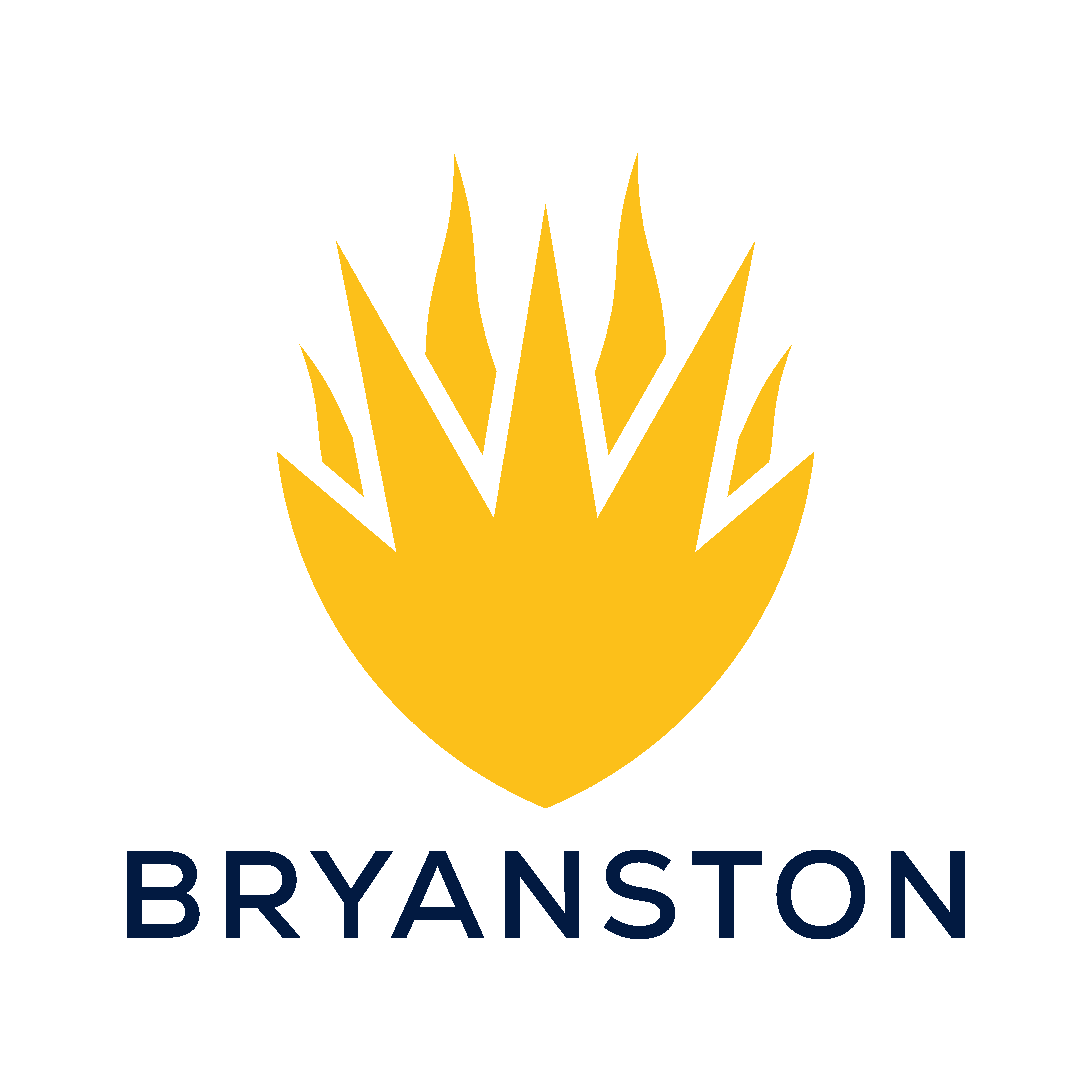 Bryanston school